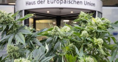 © Zukunft Hanf Österreich